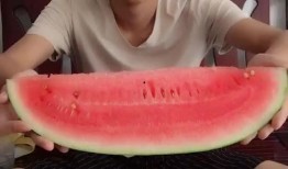 正宗的西沙瓜怎么吃,解锁夏日清新美味的多重吃法