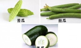吃瓜种看便秘,揭秘日常饮食中的神奇疗效