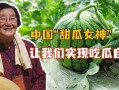 河北吃瓜女,揭秘网络热点的幕后故事