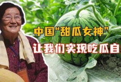 河北吃瓜女,揭秘网络热点的幕后故事