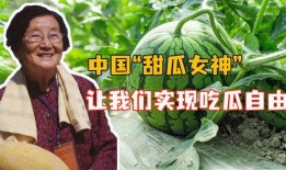 河北吃瓜女,揭秘网络热点的幕后故事