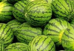 吃瓜群众标标,揭秘娱乐圈那些事儿