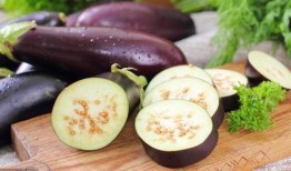 吃中药可以吃茄瓜吗