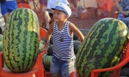 快乐吃瓜组,揭秘娱乐圈幕后故事，带你畅游娱乐盛宴