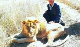 狒狒吃瓜了没,真相背后的趣味故事