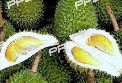 任丘吃瓜榴莲,吃瓜群众的甜蜜诱惑