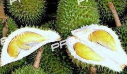 任丘吃瓜榴莲,吃瓜群众的甜蜜诱惑