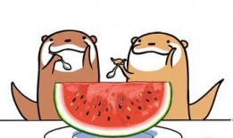 吃瓜不要打全名,吃瓜群众勿打全名