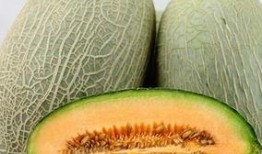 在老家吃哈密瓜