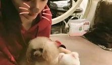 微博吃瓜女,揭秘网络舆论场的“瓜田”风云