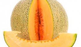 乳母期间可以吃哈密瓜吗,哈密瓜的营养与安全指南