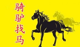 骑驴找马 吃瓜,探寻生活中的小确幸