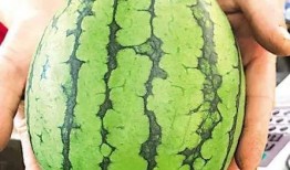 滕州吃瓜事件最新,一场网络热议背后的真相与反思