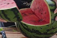 鲨鱼头像吃瓜,揭秘网络热点的背后故事