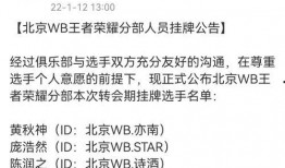 瓶子转会期吃瓜,揭秘瓶子的转会瓜界盛宴