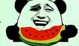 河北吃瓜女,揭秘网络热点的幕后故事