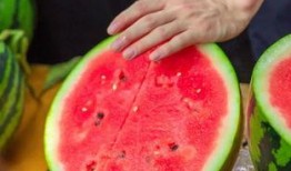 学校吃瓜最新,揭秘学校吃瓜背后的故事