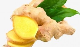 乳房结节可吃佛手瓜吗,佛手瓜适宜乳房结节患者食用吗？营养与健康解析