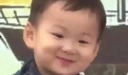 吃瓜事件大连,揭秘背后真相与网络舆论风暴