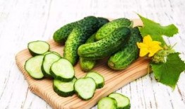 小榄吃瓜,探寻当地特色美食之旅