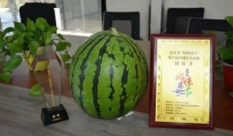邮政大学吃瓜