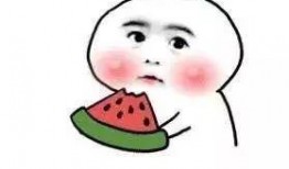 吃瓜勿扰七零,一场关于网络舆论的深度探讨