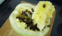 手术后可以吃籽瓜,籽瓜助力健康饮食新选择