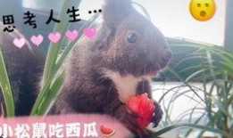 吃瓜思考人生