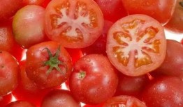 小鬼吃瓜番茄,揭秘娱乐圈的甜蜜与苦涩