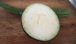 田瓜能做酒曲吃吗,天然酒曲的神秘食材探索