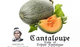 吃瓜团队营销号,揭秘网络营销背后的秘密