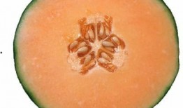 流产可以吃哈密瓜吗,哈密瓜的益处与注意事项