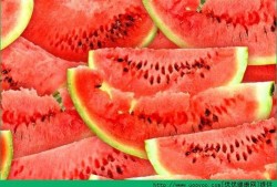 睡前吃瓜好不好,利弊分析，助你健康入梦