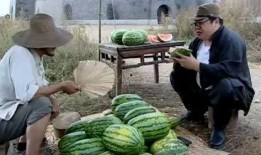 黑料不打料吃瓜,黑料不打料，吃瓜群众如何辨别真相？