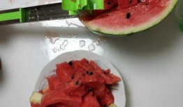 吃瓜网红拍照神器,吃瓜界的时尚利器揭秘