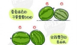 pup吃瓜