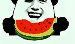 瓜哥吃瓜不吐籽是啥意思,揭秘网络流行语的深层含义