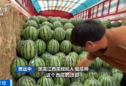 吃瓜群要钱吗,究竟要不要给钱？