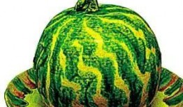 古代皇帝吃瓜,揭秘古代皇帝的消夏美食传奇