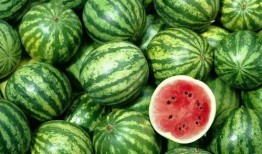 吃瓜神器资源在线,在线资源带你畅享娱乐盛宴