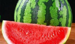 真的假吃瓜,网络热词背后的真相与笑料