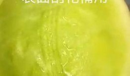 吃冻蜜瓜,冰爽冻蜜瓜，尽享清凉美味