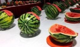 梁凉吃瓜,揭秘娱乐圈背后的那些事儿