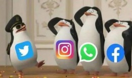 吃瓜推特,网络舆论场上的瓜田效应与社交风向标”