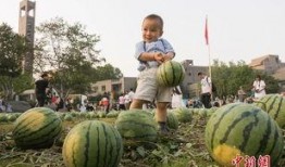 吃瓜的人美术,吃瓜群众视角下的美术世界