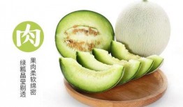 每天吃网纹瓜,健康生活新选择