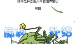 吃瓜群众改变历史,见证与改变历史的民间力量