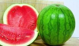 广州吃瓜网,揭秘羊城美食圈的热辣新鲜事