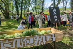 杨林吃瓜,揭秘娱乐圈幕后故事