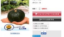 吃贝贝瓜文案,贝贝瓜，甜蜜滋味尽享清凉时光